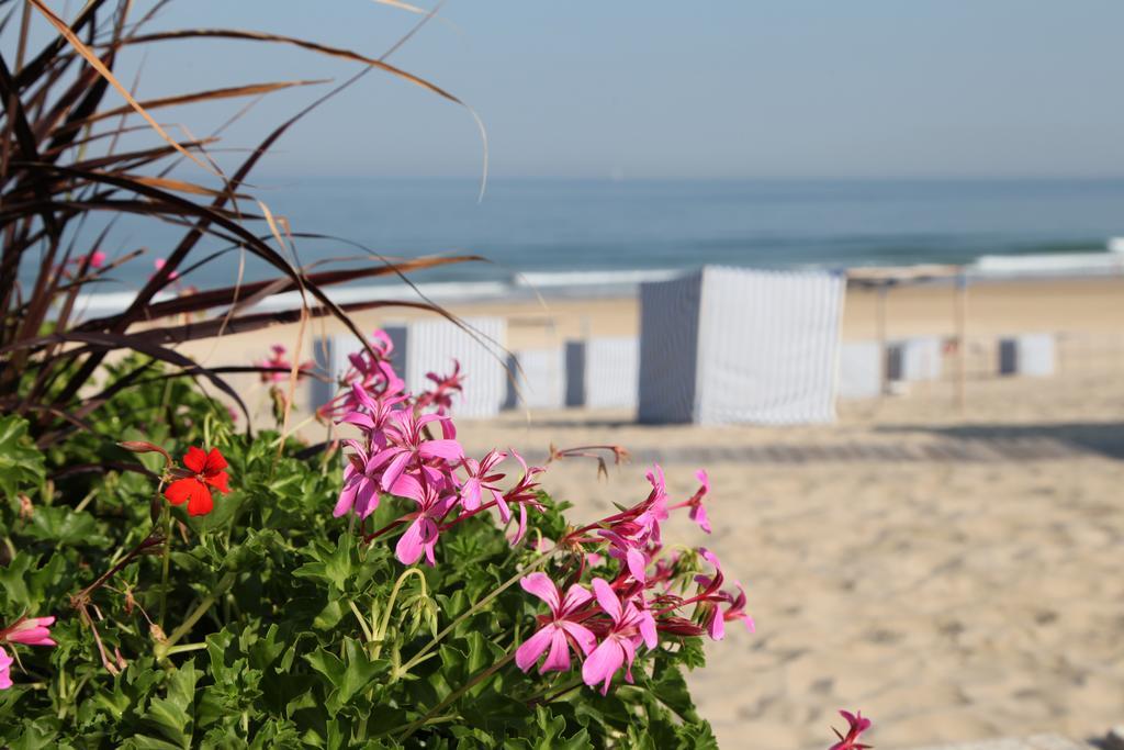 Le Lys Des Sables Bed and Breakfast Soulac-sur-Mer Eksteriør billede