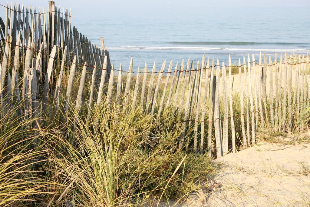 Le Lys Des Sables Bed and Breakfast Soulac-sur-Mer Eksteriør billede