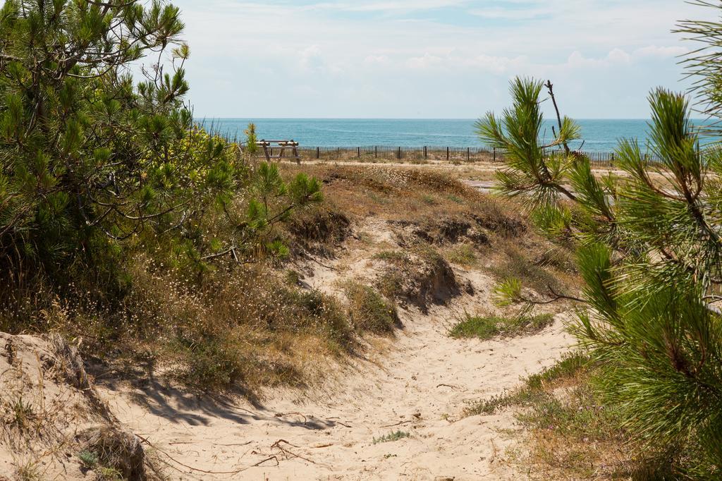 Le Lys Des Sables Bed and Breakfast Soulac-sur-Mer Eksteriør billede
